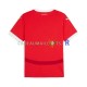 Autriche Maillot avec flocage Domicile Euro 2024 ,Homme MC