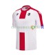 Maillot avec flocage Georgia Domicile Euro 2024 ,Homme MC