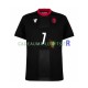 Maillot avec flocage Georgia Kvaratskhelia 7 Extérieur Euro 2024 ,Homme MC