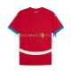 Serbie Maillot avec flocage Domicile Euro 2024 ,Homme MC