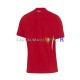 Turquie Maillot avec flocage Extérieur Euro 2024 ,Homme MC