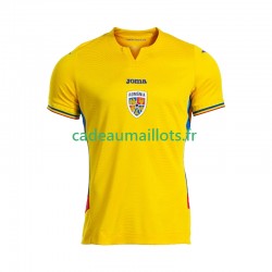 Roumanie Maillot avec flocage Domicile 2025 ,Homme MC