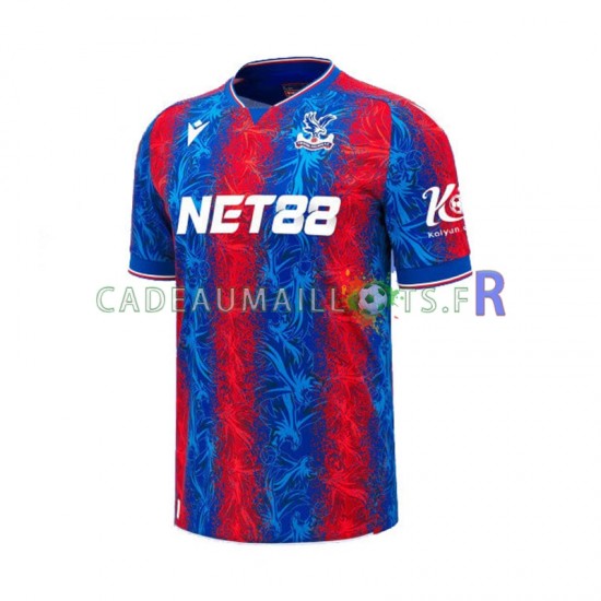 Crystal Palace Maillot avec flocage Domicile 2024-2025 ,Homme MC