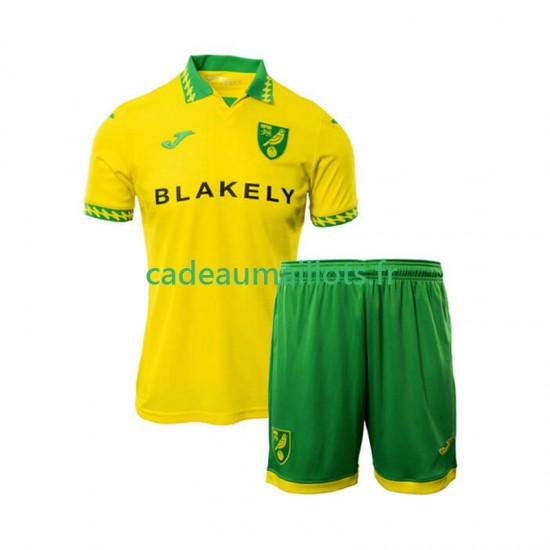 Norwich City Maillot avec flocage Domicile 2025-2026 ,Tenue Enfant MC
