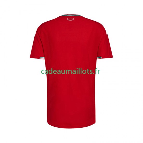 Pays de Galles Maillot avec flocage Domicile 2026 ,Homme MC