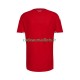 Pays de Galles Maillot avec flocage Domicile 2026 ,Homme MC