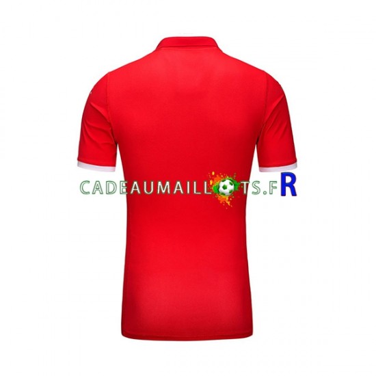 Tunisie Maillot avec flocage Domicile 2023-2024 ,Homme MC