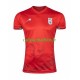 Iran Maillot avec flocage Extérieur 2026 ,Homme MC
