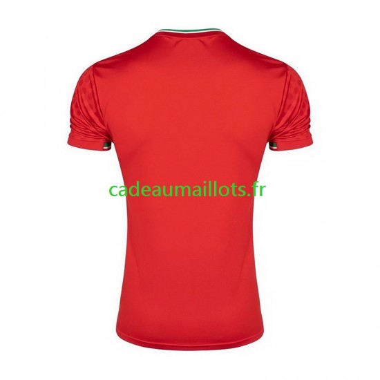 Iran Maillot avec flocage Extérieur 2026 ,Homme MC