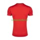 Iran Maillot avec flocage Extérieur 2026 ,Homme MC