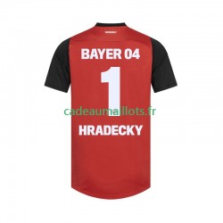 Bayer 04 Leverkusen Maillot avec flocage HRADECKY 1 Domicile 2024-2025 ,Homme MC
