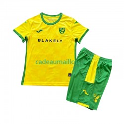 Norwich City Maillot avec flocage Domicile 2024-2025 ,Tenue Enfant MC