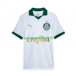 Palmeiras Maillot avec flocage Extérieur 2024 ,Homme MC
