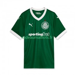 Palmeiras Maillot avec flocage Domicile 2025 ,Homme MC