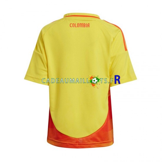 Colombie Maillot avec flocage Copa America Domicile 2024 ,Homme MC