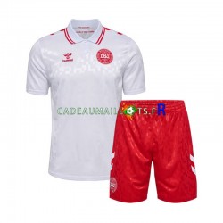 Danemark Maillot avec flocage Extérieur Euro 2024 ,Tenue Enfant MC