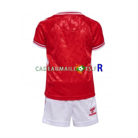 Danemark Maillot avec flocage Domicile Euro 2024 ,Tenue Enfant MC