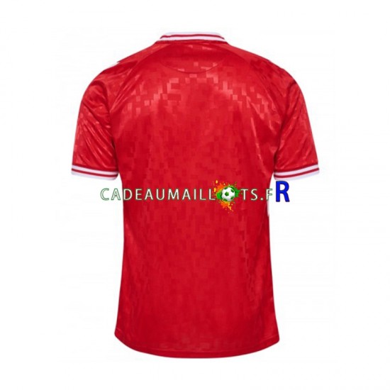 Danemark Maillot avec flocage Domicile Euro 2024 ,Homme MC