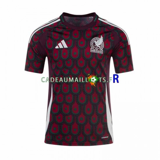 Mexique Maillot avec flocage Copa America Domicile 2024 ,Homme MC