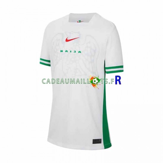 Nigeria Maillot avec flocage Domicile 2024 ,Homme MC