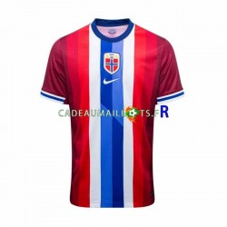 Norvège Maillot avec flocage Domicile 2024 ,Homme MC