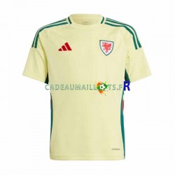 Pays de Galles Maillot avec flocage Extérieur 2024 ,Homme MC
