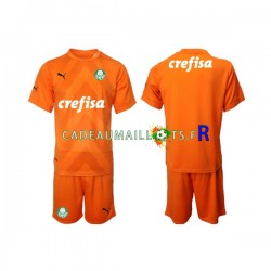Palmeiras Maillot avec flocage Gardien 3ème 2022-2023 ,Tenue Enfant MC Palmeiras Maillot avec flocage Gardien 3ème 2022-2023 ,Tenue Enfant MC