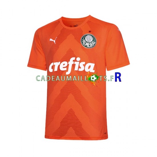 Palmeiras Maillot avec flocage Gardien 3ème 2022-2023 ,Homme MC