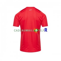 Maroc Maillot avec flocage Domicile 2023 ,Homme MC