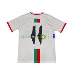 Club Deportivo Palestino Maillot avec flocage Center Stripre Extérieur 2024-2025 ,Homme MC