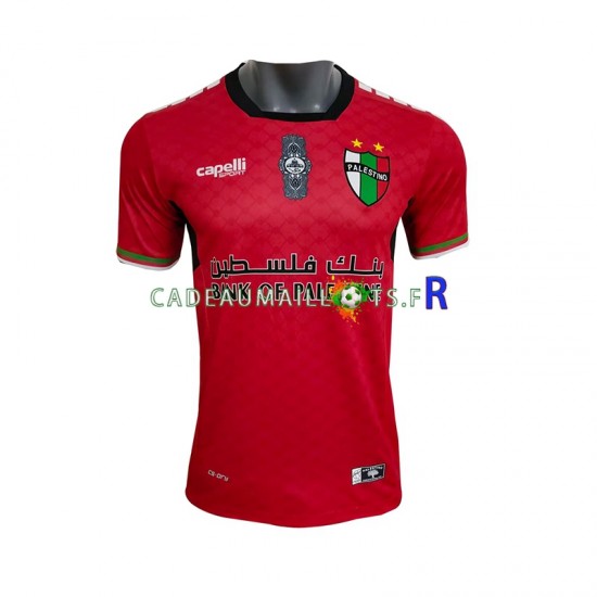 Club Deportivo Palestino Maillot avec flocage Gardien Domicile 2024-2025 ,Homme MC