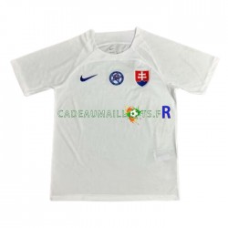 Slovaquie Maillot avec flocage Extérieur Euro 2024 ,Homme MC