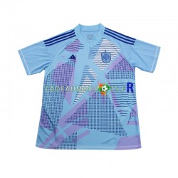 Espagne Maillot avec flocage Gardien Extérieur Euro 2024 ,Homme MC