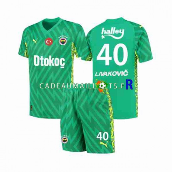 Fenerbahce Livakovic 40 Footbal Kit Gardien Domicile 2023-2024 MC