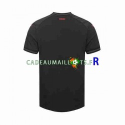 Bayer 04 Leverkusen Maillot avec flocage Domicile 2023-2024 ,Homme MC