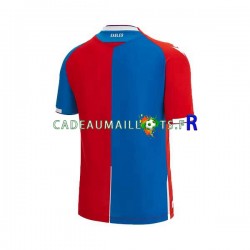 Crystal Palace Maillot avec flocage Domicile 2023-2024 ,Homme MC