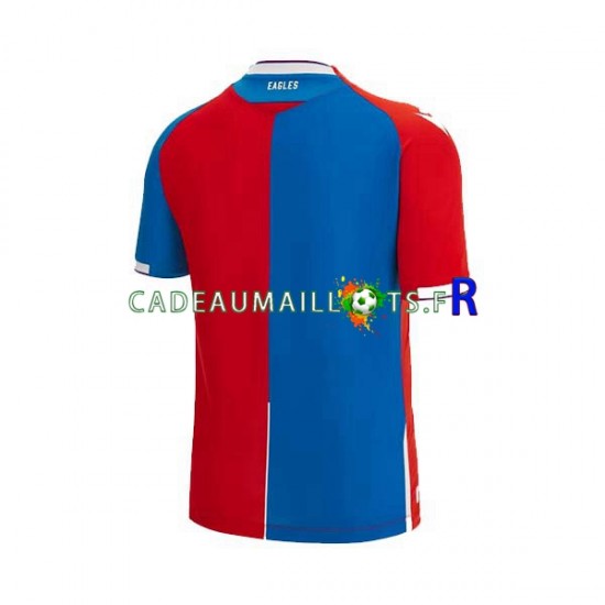 Crystal Palace Maillot avec flocage Domicile 2023-2024 ,Homme MC