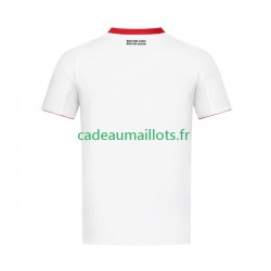 Eintracht Frankfurt Maillot avec flocage Extérieur 2024-2025 ,Homme MC