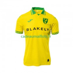 Norwich City Maillot avec flocage Domicile 2025-2026 ,Homme MC