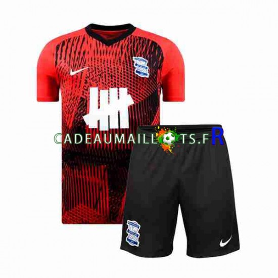 Birmingham City Maillot avec flocage Extérieur 2023-2024 ,Tenue Enfant MC