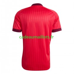 Norvège Maillot avec flocage Martin Odegaard 10 3ème Coupe du Monde 2026 ,Homme MC