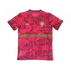 Portugal Maillot avec flocage Special Edition Domicile ,Homme MC