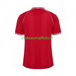 Danemark Maillot avec flocage Domicile 2026 ,Homme MC