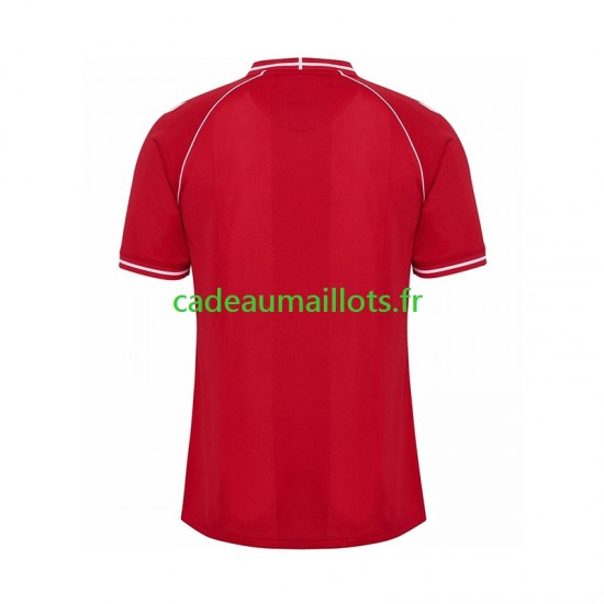 Danemark Maillot avec flocage Domicile 2026 ,Homme MC
