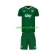 Irlande Maillot avec flocage Domicile 2026 ,Tenue Enfant MC