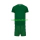 Irlande Maillot avec flocage Domicile 2026 ,Tenue Enfant MC