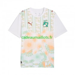 Côte d'Ivoire Maillot avec flocage Extérieur Coupe du Monde 2026 ,Homme MC