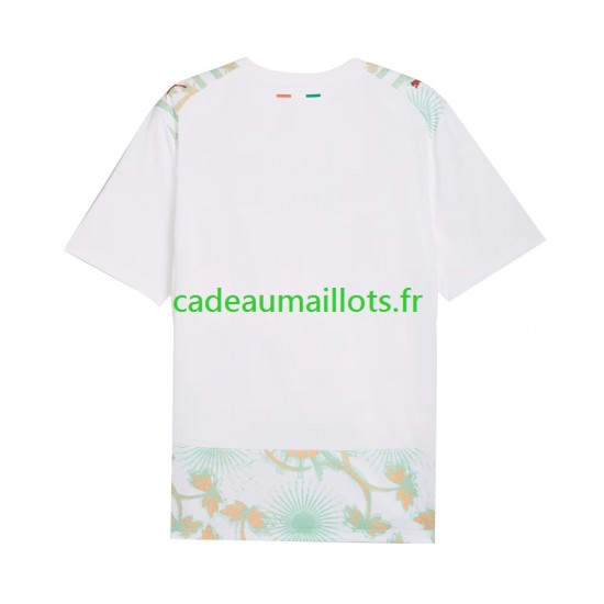 Côte d'Ivoire Maillot avec flocage Extérieur Coupe du Monde 2026 ,Homme MC