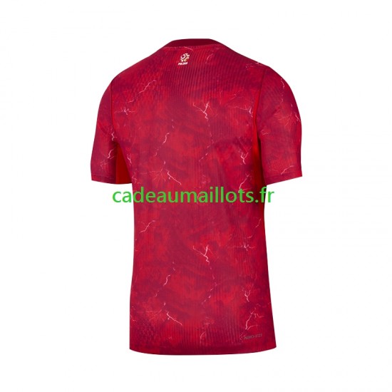 Pologne Maillot avec flocage Extérieur 2026 2027 ,Homme MC