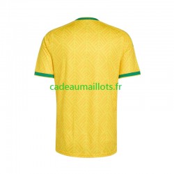 Afrique Du Sud Maillot avec flocage Domicile Coupe du Monde 2026 ,Homme MC